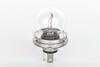 1 987 302 023 BOSCH Лампа розжарювання R2 12V 45/40W P45t (вир-во Bosch) (фото 2)