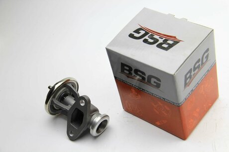 BSG 60-836-001 BSG Клапан возврата ОГ