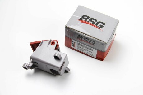 BSG 60-970-006 BSG Ручка двери, внутреннее оснащення