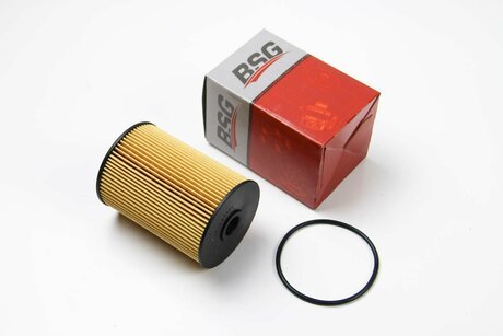 BSG 90-130-005 BSG Топливный фильтр