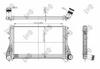 053-018-0013 DEPO Радіатор інтеркулера а PASSAT/TIGUAN 1.4-2.0 05- (фото 1)
