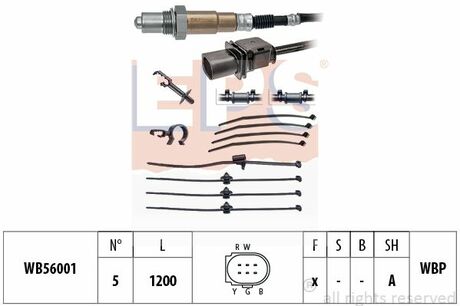 1.998.425 EPS Лямбда-зонд (5-конт.) Audi A4, VW Golf VI, Passat 1.9TDI-5.0TDI 10.02-