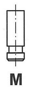 R4917SCR FRECCIA Клапан IN DB OM362/OM364, 82-