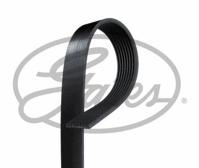 8PK2410 Gates Поликлиновой ремень
