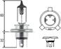 8GJ 002 525-251 HELLA Лампа накаливания, фара дальнего света; Лампа накаливания, основная фара; Лампа накаливания, противотуманная фара; Лампа накаливания; Лампа накаливания, основная фара (фото 1)