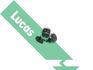 LEB5168 LUCAS Лямбда-зонд (фото 3)