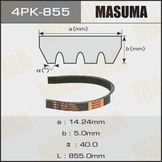 4PK855 MASUMA Ремень поликлиновой 4PK- 855 ()