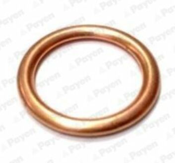 PB907 Payen Уплотнительное кольцо, резьбовая пр