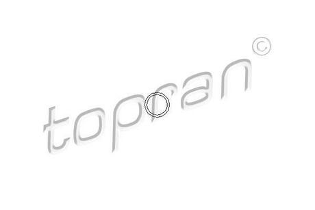 100 678 TOPRAN / HANS PRIES Кiльце ущiльнююче форсунки TOPRAN 100678 оригінальна запчастина