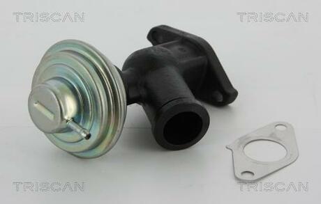 881310011 TRISCAN Клапан рециркуляції відпрацьованих газів Fiat/Ford/PSA 2.0Jtd/2.0Tdci/2.0Hdi