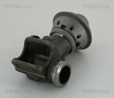 881328013 TRISCAN Клапан рецеркуляції відпрацьованих газів Citroen Jumper/Peugeot Boxer/Fiat Ducato 2.0 HDi (84KM) 04.02-