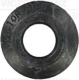 70-33589-00 VICTOR REINZ Уплотнительное кольцо, стержень кла